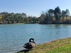 -湖泉水云间餐厅·弥勒地道菜(B座店)