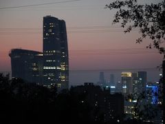 -南山植物园