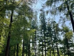 -云龙湖旅游景区