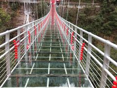 -九龙江国家森林公园