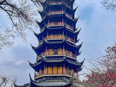 -红梅公园