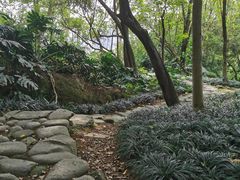 -乌山风景区