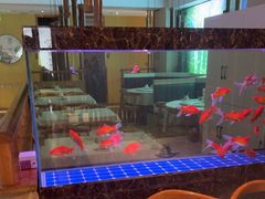 -原鄉本味 楚菜 丹江口鱼(北苑店)