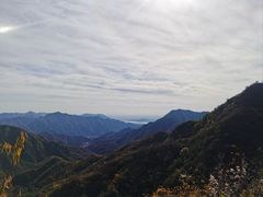 -大岭沟猕猴桃谷风景区