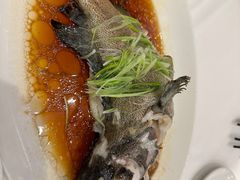 -海都六福酒家(世博广场店)