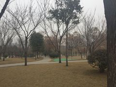 -唐城墙遗址公园