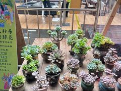 -瑞虹新天地月亮湾