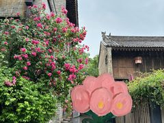 -韩城古城