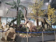 -湖南省地质博物馆