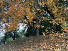 -福建鲤鱼洲酒店