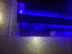 -寻梦缘主题音乐汇