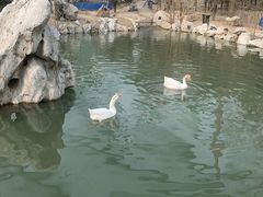 -唆了蜜团建·趣味沉浸式剧情·蹦床轰趴运动拓展基地(天津旗舰店)