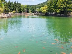 -玉苍山国家森林公园