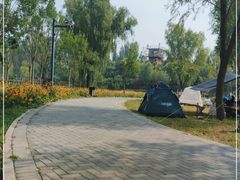 -东郊湿地公园
