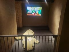 -三秋舍·梦幻岛(小西路店)