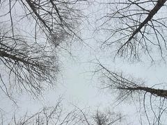 -白水寺森林公园