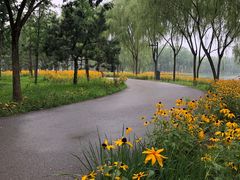 -东郊湿地公园