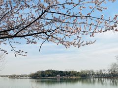 -颐和园