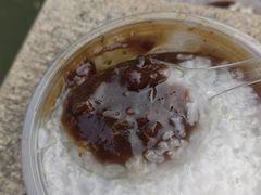 -潘玉麟糖粥