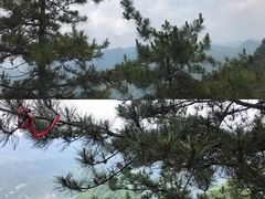 -塔云山