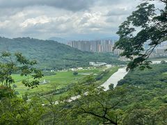 -风云岭森林公园