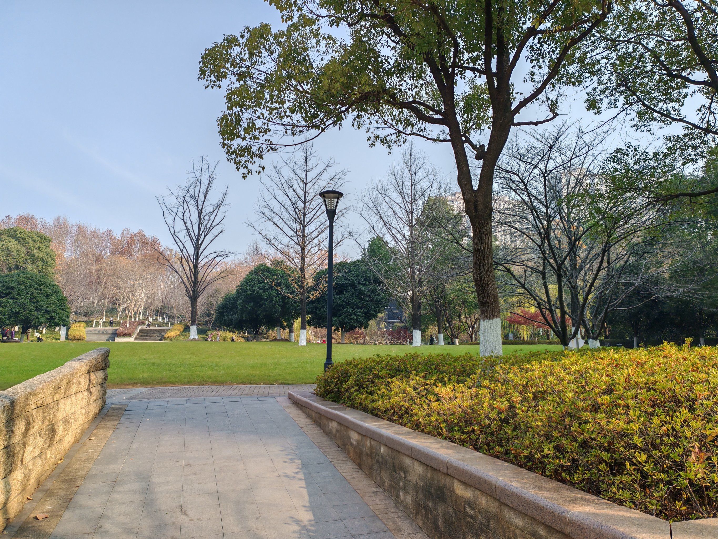 cbd的王家墩公园,设施全新且齐全,休闲漫步好地方