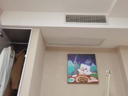 -咪咪专业脱毛连锁机构