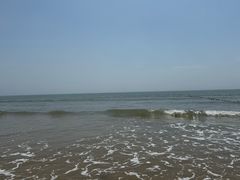 -日照海滨国家森林公园