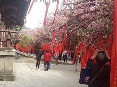 -西安青龙寺遗址景区