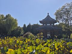-莲池书院博物馆