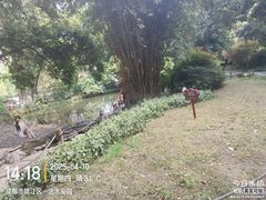 -成都市活水公园