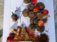 -北京鹫峰国家森林公园