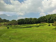 -宜兴龙背山森林公园
