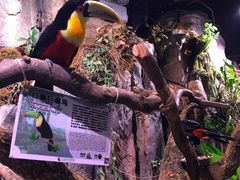 -正佳雨林生态植物园