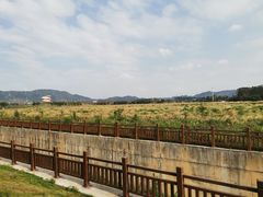 -光明小镇欢乐田园
