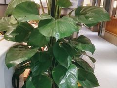 -荷花亭·湖北融合菜(十堰武商MALL店)