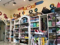 -米苏动物医院·犬猫专科·骨科外科内窥镜