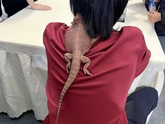 -重庆国际会议展览中心