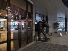 -东北大厦酒店(沈阳北站青年大街店)