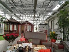 -田园东方蜜桃村的田野营地