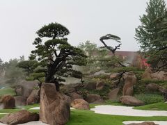 -罗红摄影艺术馆