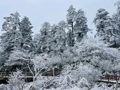 -瓦屋山景区