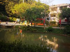 -火炉山森林公园