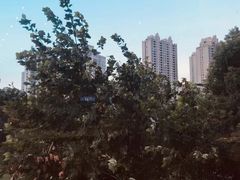 -星巴克臻选(湖滨道店)