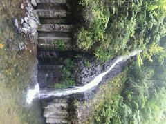 android_upload_pic-望天鹅景区