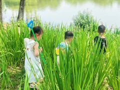 -杭州城北体育公园