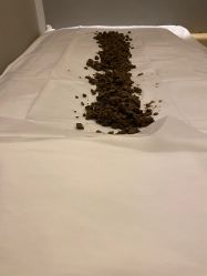 -姜美堂·蒸姜除湿の纤体美颜馆