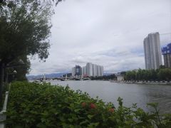 -洱海月湿地公园