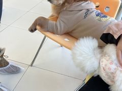 -怪兽屋·羊驼·猫咖·狗咖(俊华广场店)