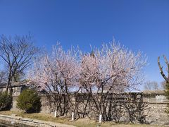 -三里河公园